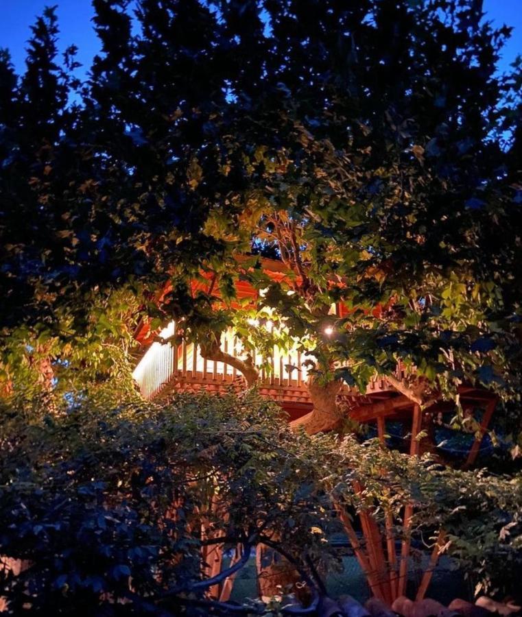 Glamping Dream Tree House